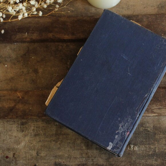 Vintage 1920s Book, "Babbitt" by Sinclair Lewis, 1922, Possible First Edition - Picture 4 of 10